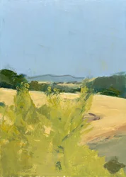 Montagne Noire, ZW Frankrijk 2012 (Olieverf op board)