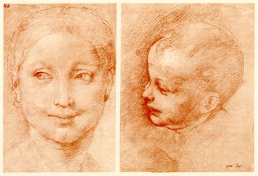 Hoofdstudies