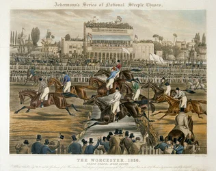 De Koninklijke Verjaardag Stakes, Worcester, 14 maart 1856: Hoofdtribune