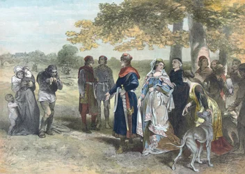 Floris V, Graaf van Holland en Zeeland