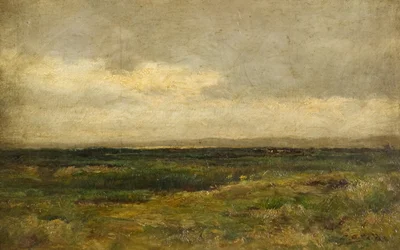 Landschap