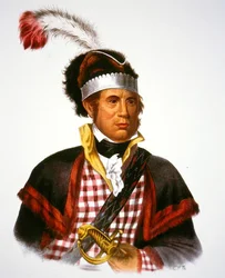 Chief McIntosh, illustratie uit 