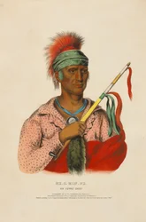 Ne-o-mon-ne - een Ioway-opperhoofd