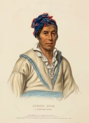 SPRING FROG. Een CHEROKEE CHIEF, uit Geschiedenis van de Indianenstammen van Noord-Amerika