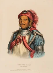 TENS-KWAU-TA-WAW. DE PROPHET, uit de Geschiedenis van de Indianenstammen van Noord-Amerika
