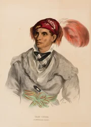Tah-Chee (Nederlands), Een Cherokee opperhoofd, uit Geschiedenis van de Indiaanse Stammen van Noord-Amerika