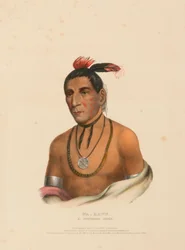 WA-KAWN, A WINNEBAGO CHIEF, uit History of the Indian Tribes of North America.
