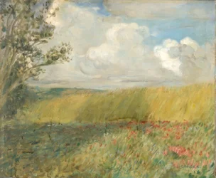 Het korenveld