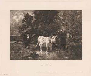 Landschap met koeien aan de rand van een bos