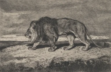 Leeuw wandelend, 1866-1897