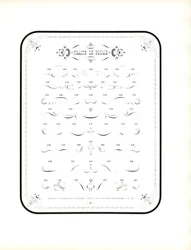 Kalligrafische lijnen en decoratieve elementen (print)