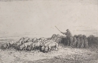 Een Kudde Varkens