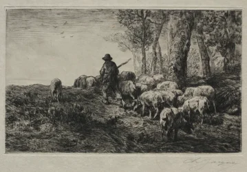 Een kudde varkens