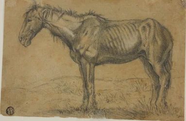 Uitgemergeld paard (recto); vooraanzicht van een paard (verso)