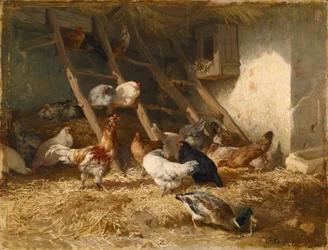 Hoenders