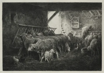 Interieur van schapenverblijf