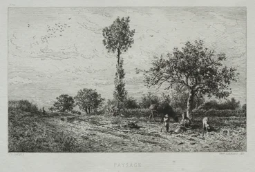 Landschap