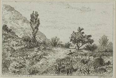 Landschap