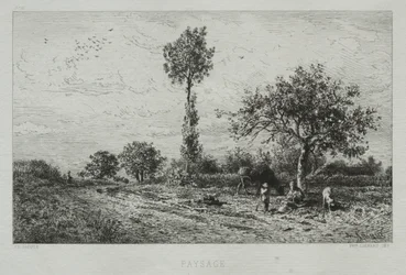 Landschap