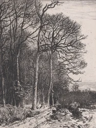Bosrand, 1846