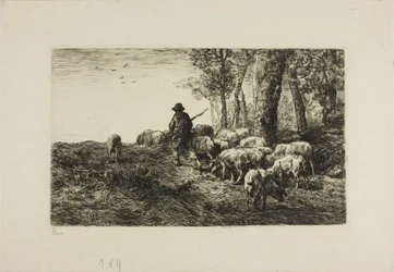 Man met kudde varkens