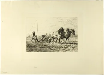 Ploegen