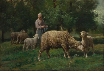 Herderin met Schapen