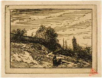 Het Kreupelhout
