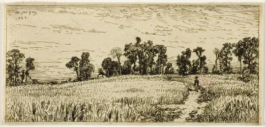 Tarweveld