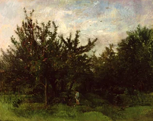Een Appelboomgaard