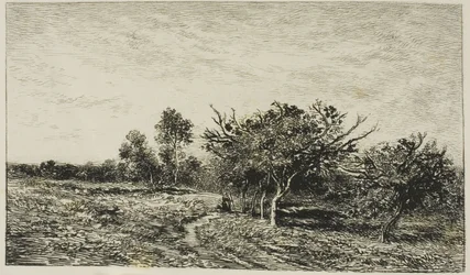 Appelbomen in Auvers
