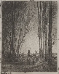 Verzamelen van de Kudde