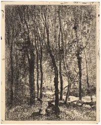 Geitenhoeder