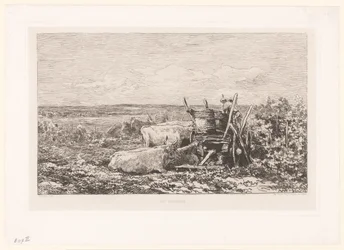 Landschap met rustend vee tussen wijnranken