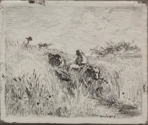 Pad Door het Graanveld