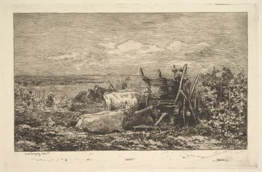 De oogst Souvenir van de Morvan