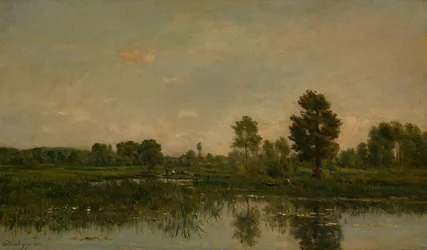 Het moeras
