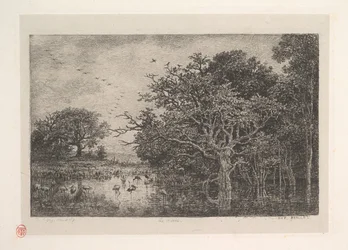 De moerassen