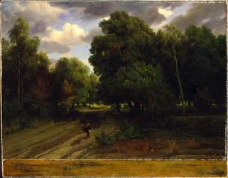 Het kruispunt van het adelaarsnest, bos van Fontainebleau