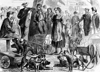 Gearresteerde voddenrapers in City Hall Park, New York, uit Harpers Weekly, uitgegeven 1867