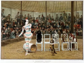 De geleerde honden: circusscène met clown en honden - naar Charles Green, Engelse chromo 1885