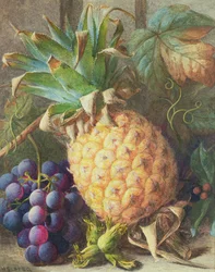 Stilleven van een ananas en druiven