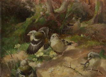 In gelukkig bos