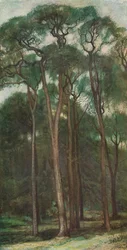 Studie van bomen, c1900 1903-1904