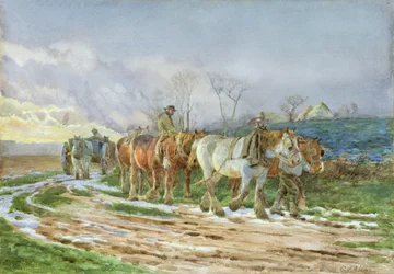 Op Weg Naar Huis