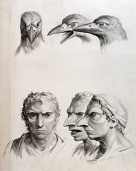 Profielen van vogel en "man-vogel" - door Lebrun, in "Verhandelingen over de fysiognomie van de mens vergeleken met die van dieren"