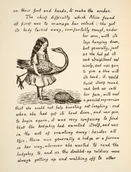 Alice houdt haar struisvogel vast, illustratie uit Alice