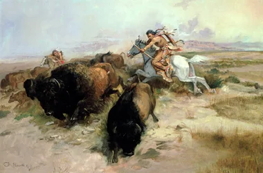 Buffeljacht