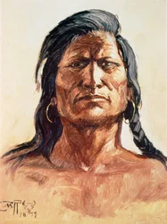 Shoshone stamgenoot