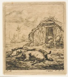Drie Varkens Liggend voor een Schuur